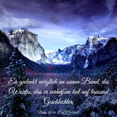 Picture 03 - Psalm 105:8 LUTH1912 - Er gedenkt ewiglich an seinen Bund, des Wortes, - Bible Verse Picture