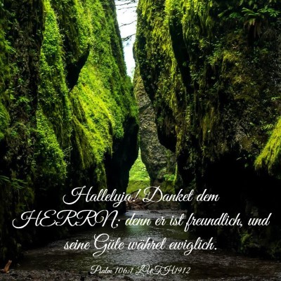 Picture 03 - Psalm 106:1 LUTH1912 - Halleluja! Danket dem HERRN; denn er ist - Bible Verse Picture