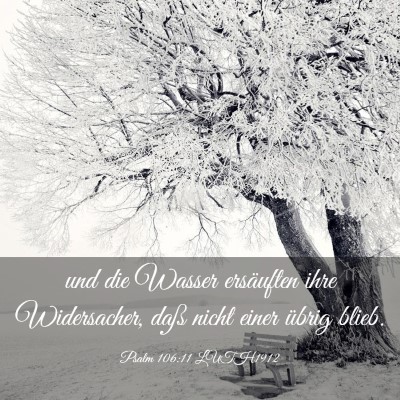 Picture 03 - Psalm 106:11 LUTH1912 - und die Wasser ersäuften ihre Widersacher, daß - Bible Verse Picture