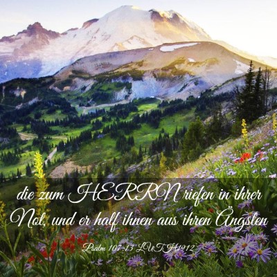 Picture 03 - Psalm 107:13 LUTH1912 - die zum HERRN riefen in ihrer Not, und er half - Bible Verse Picture