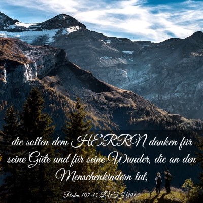 Picture 03 - Psalm 107:15 LUTH1912 - die sollen dem HERRN danken für seine Güte und - Bible Verse Picture