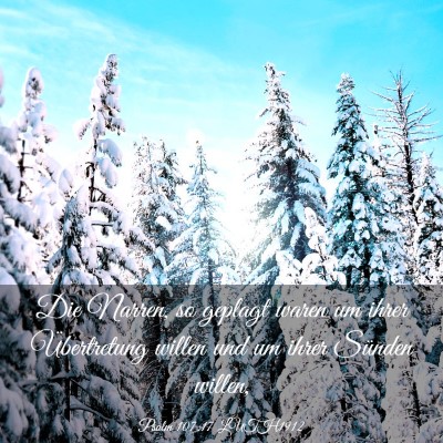 Picture 03 - Psalm 107:17 LUTH1912 - Die Narren, so geplagt waren um ihrer - Bible Verse Picture