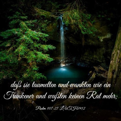 Picture 03 - Psalm 107:27 LUTH1912 - daß sie taumelten und wankten wie ein Trunkener - Bible Verse Picture