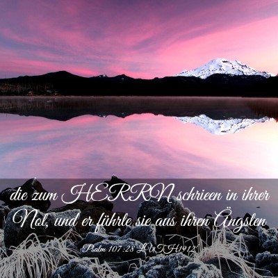 Picture 03 - Psalm 107:28 LUTH1912 - die zum HERRN schrieen in ihrer Not, und er - Bible Verse Picture