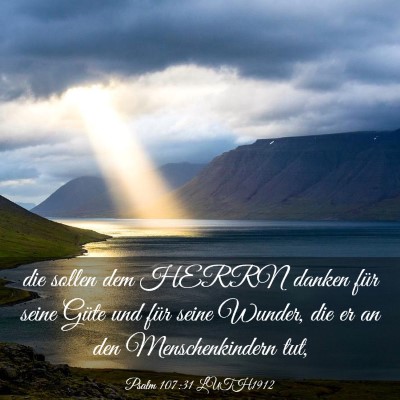 Picture 03 - Psalm 107:31 LUTH1912 - die sollen dem HERRN danken für seine Güte und - Bible Verse Picture