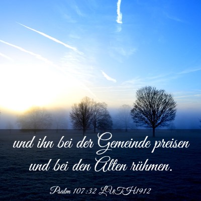 Picture 03 - Psalm 107:32 LUTH1912 - und ihn bei der Gemeinde preisen und bei den - Bible Verse Picture