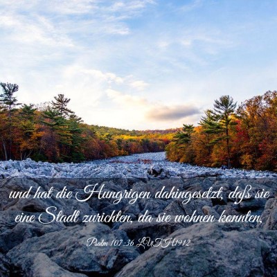 Picture 03 - Psalm 107:36 LUTH1912 - und hat die Hungrigen dahingesetzt, daß sie eine - Bible Verse Picture