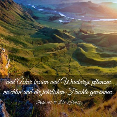 Picture 03 - Psalm 107:37 LUTH1912 - und Äcker besäen und Weinberge pflanzen - Bible Verse Picture