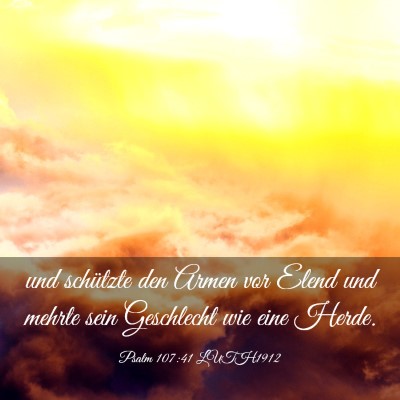 Picture 03 - Psalm 107:41 LUTH1912 - und schützte den Armen vor Elend und mehrte sein - Bible Verse Picture