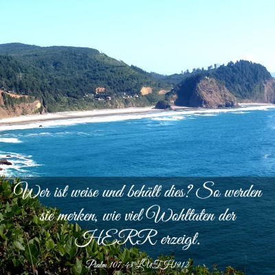 Picture 03 - Psalm 107:43 LUTH1912 - Wer ist weise und behält dies? So werden sie - Bible Verse Picture