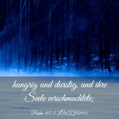 Picture 03 - Psalm 107:5 LUTH1912 - hungrig und durstig, und ihre Seele - Bible Verse Picture