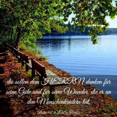 Picture 03 - Psalm 107:8 LUTH1912 - die sollen dem HERRN danken für seine Güte und - Bible Verse Picture