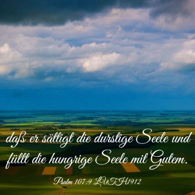 Picture 03 - Psalm 107:9 LUTH1912 - daß er sättigt die durstige Seele und füllt - Bible Verse Picture