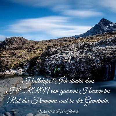 Picture 03 - Psalm 111:1 LUTH1912 - Halleluja! Ich danke dem HERRN von ganzem Herzen - Bible Verse Picture