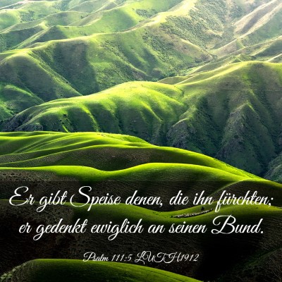 Picture 03 - Psalm 111:5 LUTH1912 - Er gibt Speise denen, die ihn fürchten; er - Bible Verse Picture