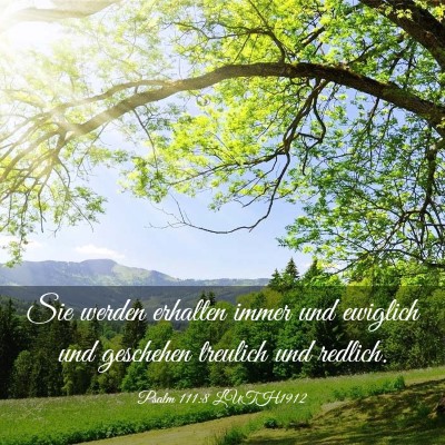 Picture 03 - Psalm 111:8 LUTH1912 - Sie werden erhalten immer und ewiglich und - Bible Verse Picture