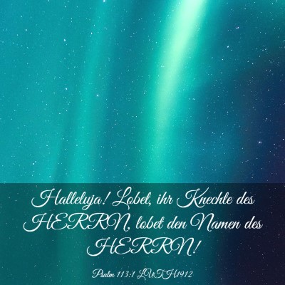 Picture 03 - Psalm 113:1 LUTH1912 - Halleluja! Lobet, ihr Knechte des HERRN, lobet - Bible Verse Picture