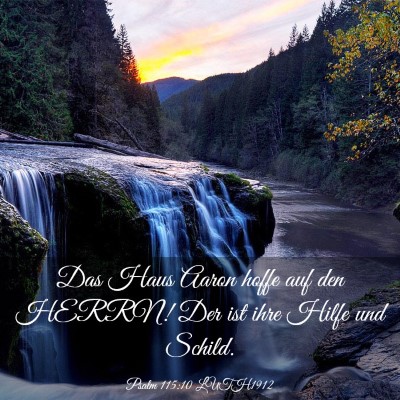 Picture 03 - Psalm 115:10 LUTH1912 - Das Haus Aaron hoffe auf den HERRN! Der ist ihre - Bible Verse Picture