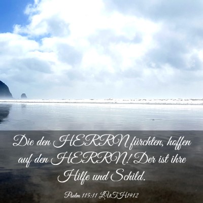 Picture 03 - Psalm 115:11 LUTH1912 - Die den HERRN fürchten, hoffen auf den HERRN! - Bible Verse Picture