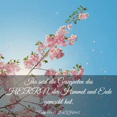 Picture 03 - Psalm 115:15 LUTH1912 - Ihr seid die Gesegneten des HERRN, der Himmel und - Bible Verse Picture