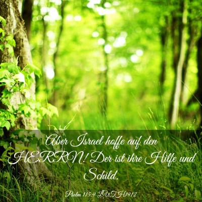 Picture 03 - Psalm 115:9 LUTH1912 - Aber Israel hoffe auf den HERRN! Der ist ihre - Bible Verse Picture