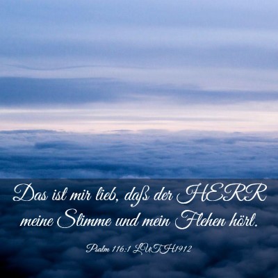 Picture 03 - Psalm 116:1 LUTH1912 - Das ist mir lieb, daß der HERR meine Stimme und - Bible Verse Picture