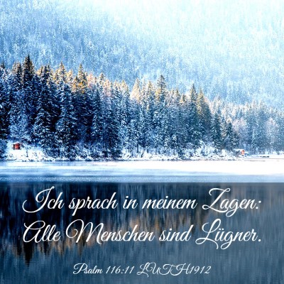 Picture 03 - Psalm 116:11 LUTH1912 - Ich sprach in meinem Zagen: Alle Menschen sind - Bible Verse Picture