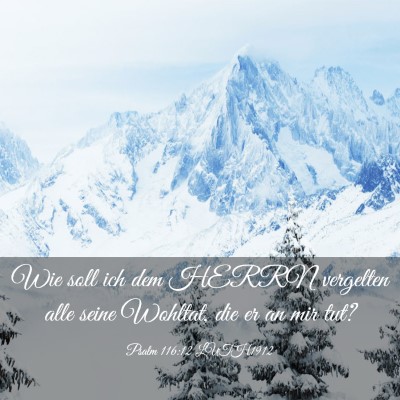 Picture 03 - Psalm 116:12 LUTH1912 - Wie soll ich dem HERRN vergelten alle seine - Bible Verse Picture