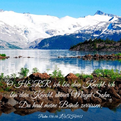 Picture 03 - Psalm 116:16 LUTH1912 - O HERR, ich bin dein Knecht; ich bin dein Knecht, - Bible Verse Picture