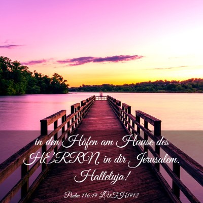 Picture 03 - Psalm 116:19 LUTH1912 - in den Höfen am Hause des HERRN, in dir - Bible Verse Picture