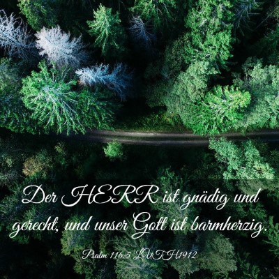 Picture 03 - Psalm 116:5 LUTH1912 - Der HERR ist gnädig und gerecht, und unser Gott - Bible Verse Picture