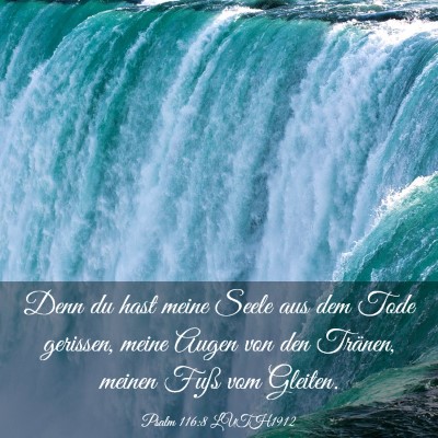 Picture 03 - Psalm 116:8 LUTH1912 - Denn du hast meine Seele aus dem Tode gerissen, - Bible Verse Picture