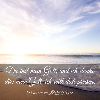 Picture 03 - Psalm 118:28 LUTH1912 - Du bist mein Gott, und ich danke dir; mein Gott, - Bible Verse Picture