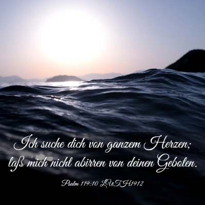 Picture 03 - Psalm 119:10 LUTH1912 - Ich suche dich von ganzem Herzen; laß mich nicht - Bible Verse Picture
