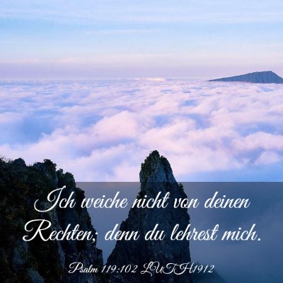 Picture 03 - Psalm 119:102 LUTH1912 - Ich weiche nicht von deinen Rechten; denn du - Bible Verse Picture