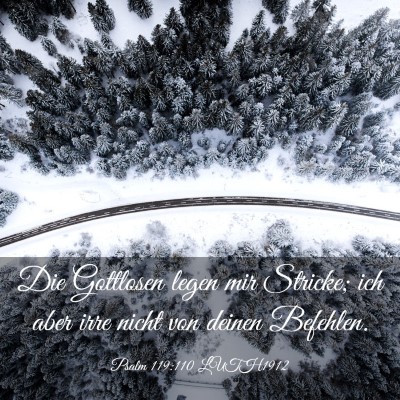 Picture 03 - Psalm 119:110 LUTH1912 - Die Gottlosen legen mir Stricke; ich aber irre - Bible Verse Picture