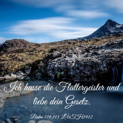 Picture 03 - Psalm 119:113 LUTH1912 - Ich hasse die Flattergeister und liebe dein - Bible Verse Picture