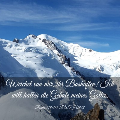 Picture 03 - Psalm 119:115 LUTH1912 - Weichet von mir, ihr Boshaften! Ich will halten - Bible Verse Picture