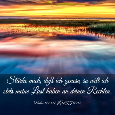 Picture 03 - Psalm 119:117 LUTH1912 - Stärke mich, daß ich genese, so will ich stets - Bible Verse Picture