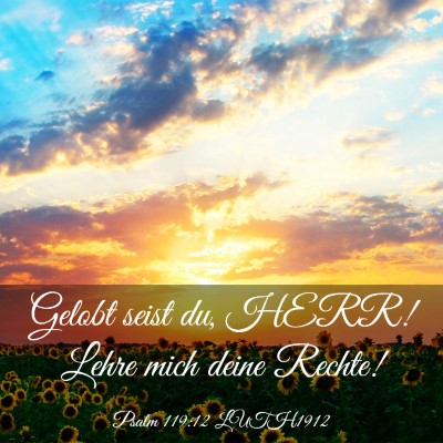 Picture 03 - Psalm 119:12 LUTH1912 - Gelobt seist du, HERR! Lehre mich deine - Bible Verse Picture