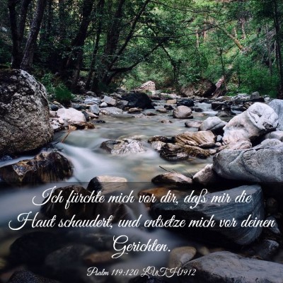 Picture 03 - Psalm 119:120 LUTH1912 - Ich fürchte mich vor dir, daß mir die Haut - Bible Verse Picture