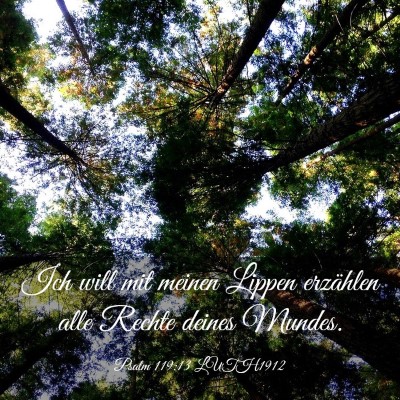 Picture 03 - Psalm 119:13 LUTH1912 - Ich will mit meinen Lippen erzählen alle Rechte - Bible Verse Picture
