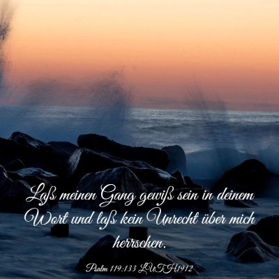 Picture 03 - Psalm 119:133 LUTH1912 - Laß meinen Gang gewiß sein in deinem Wort und - Bible Verse Picture