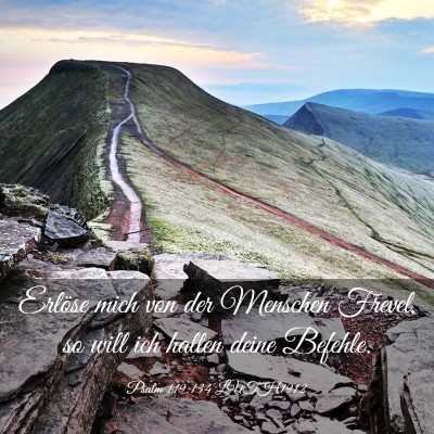 Picture 03 - Psalm 119:134 LUTH1912 - Erlöse mich von der Menschen Frevel, so will ich - Bible Verse Picture
