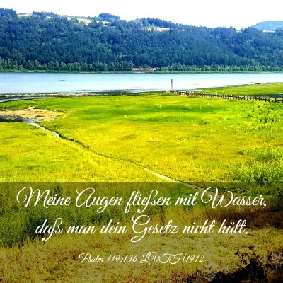 Picture 03 - Psalm 119:136 LUTH1912 - Meine Augen fließen mit Wasser, daß man dein - Bible Verse Picture