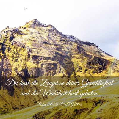 Picture 03 - Psalm 119:138 LUTH1912 - Du hast die Zeugnisse deiner Gerechtigkeit und - Bible Verse Picture
