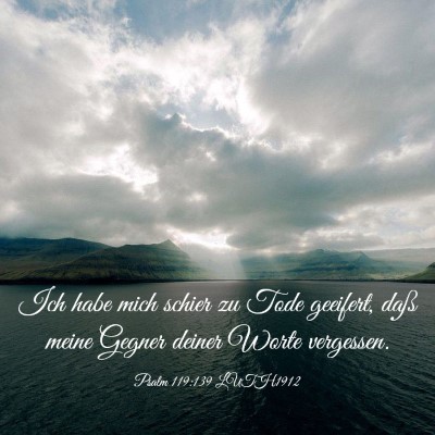 Picture 03 - Psalm 119:139 LUTH1912 - Ich habe mich schier zu Tode geeifert, daß meine - Bible Verse Picture