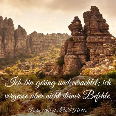 Picture 03 - Psalm 119:141 LUTH1912 - Ich bin gering und verachtet; ich vergesse aber - Bible Verse Picture