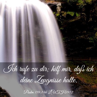 Picture 03 - Psalm 119:146 LUTH1912 - Ich rufe zu dir; hilf mir, daß ich deine - Bible Verse Picture