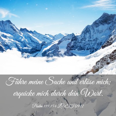 Picture 03 - Psalm 119:154 LUTH1912 - Führe meine Sache und erlöse mich; erquicke - Bible Verse Picture